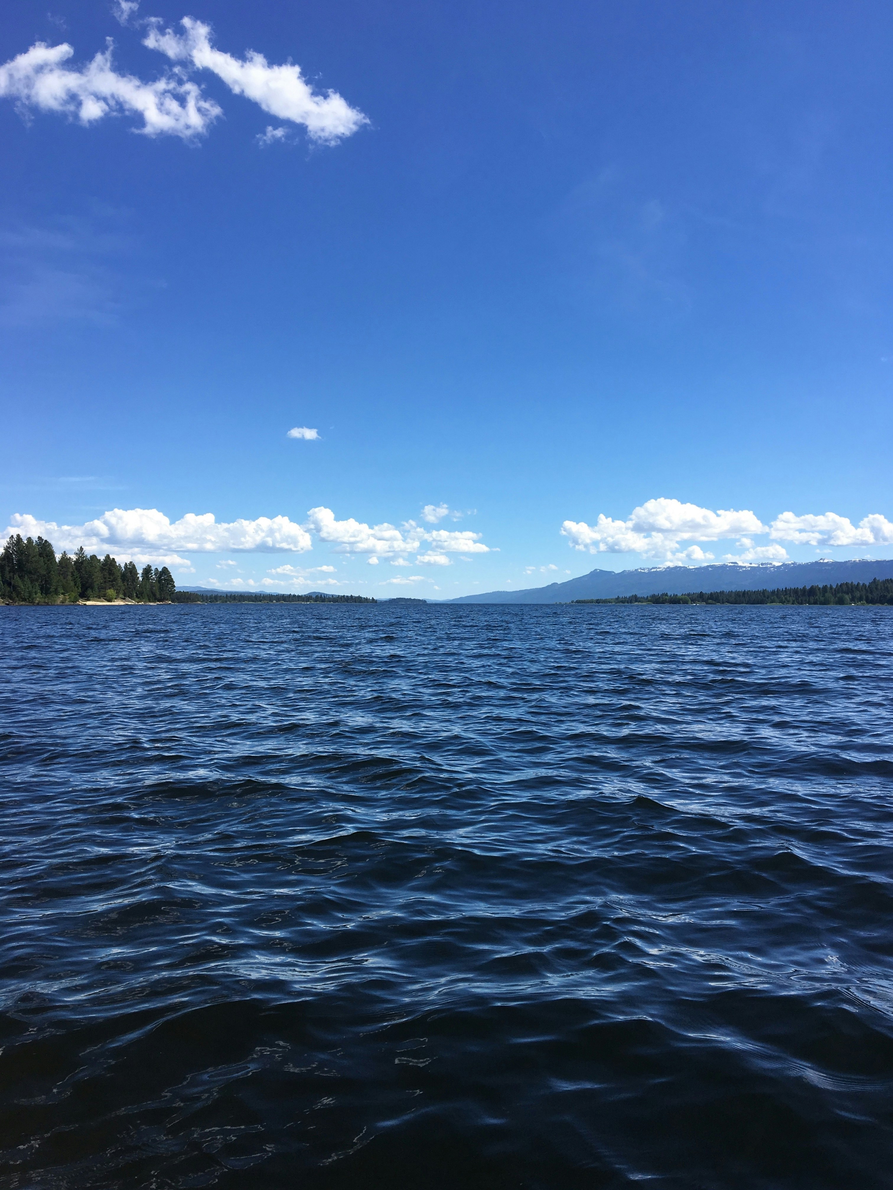 wavy blue ocean under blue sky