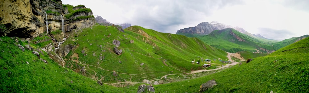 green grass on mountain