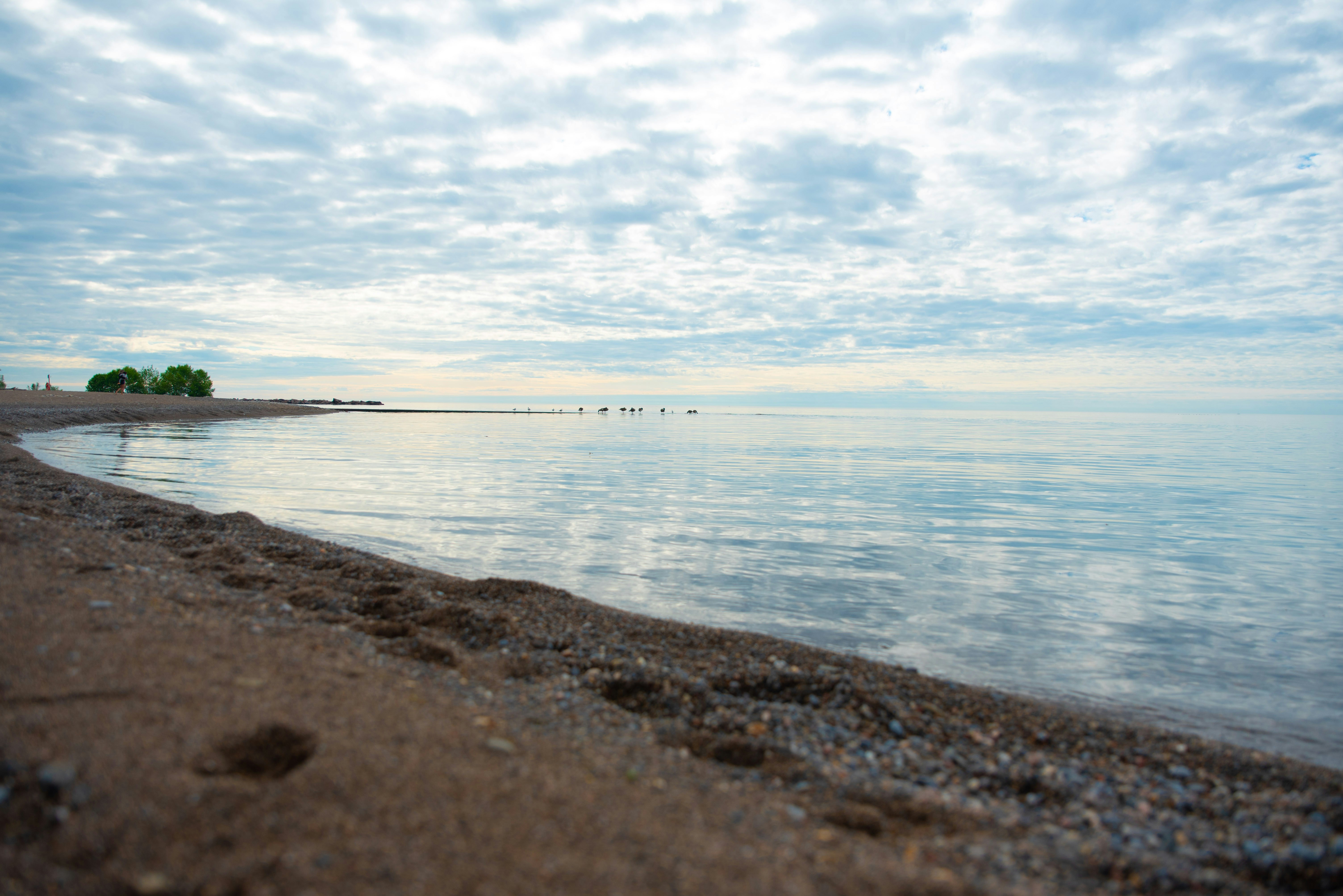 Photo by manuelsilva