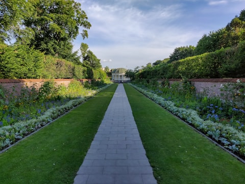 empty concrete road during dayitme