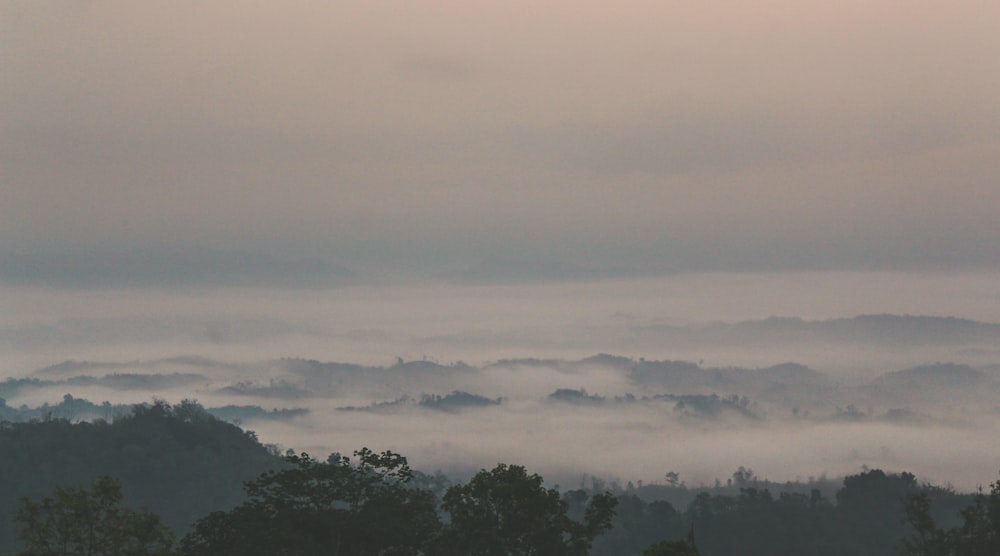 nubes blancas