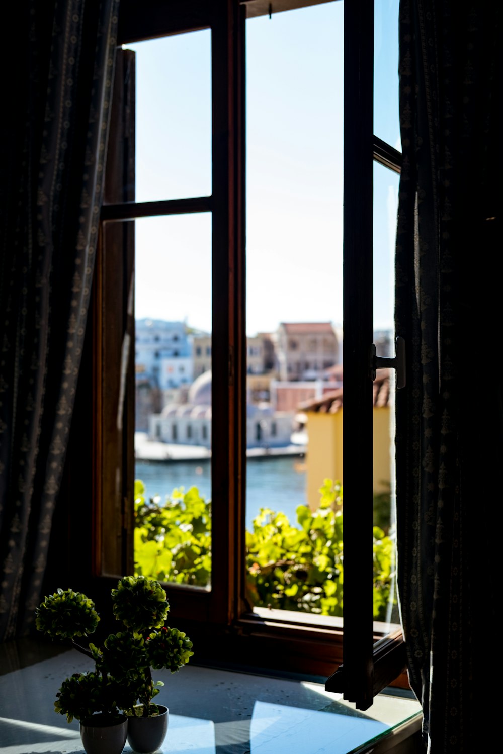 green bonsai plant by the window