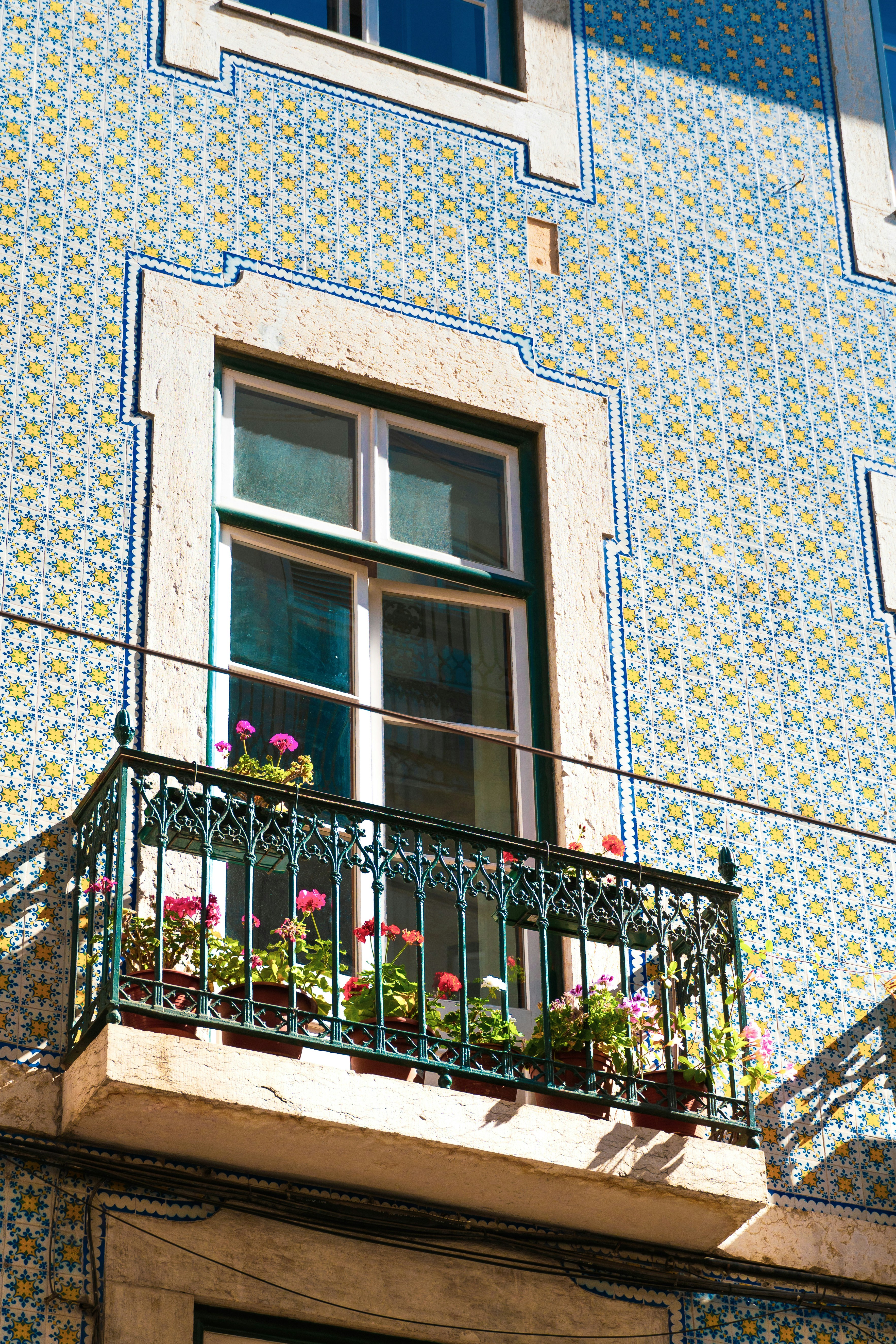 Photo by jeancarloemer