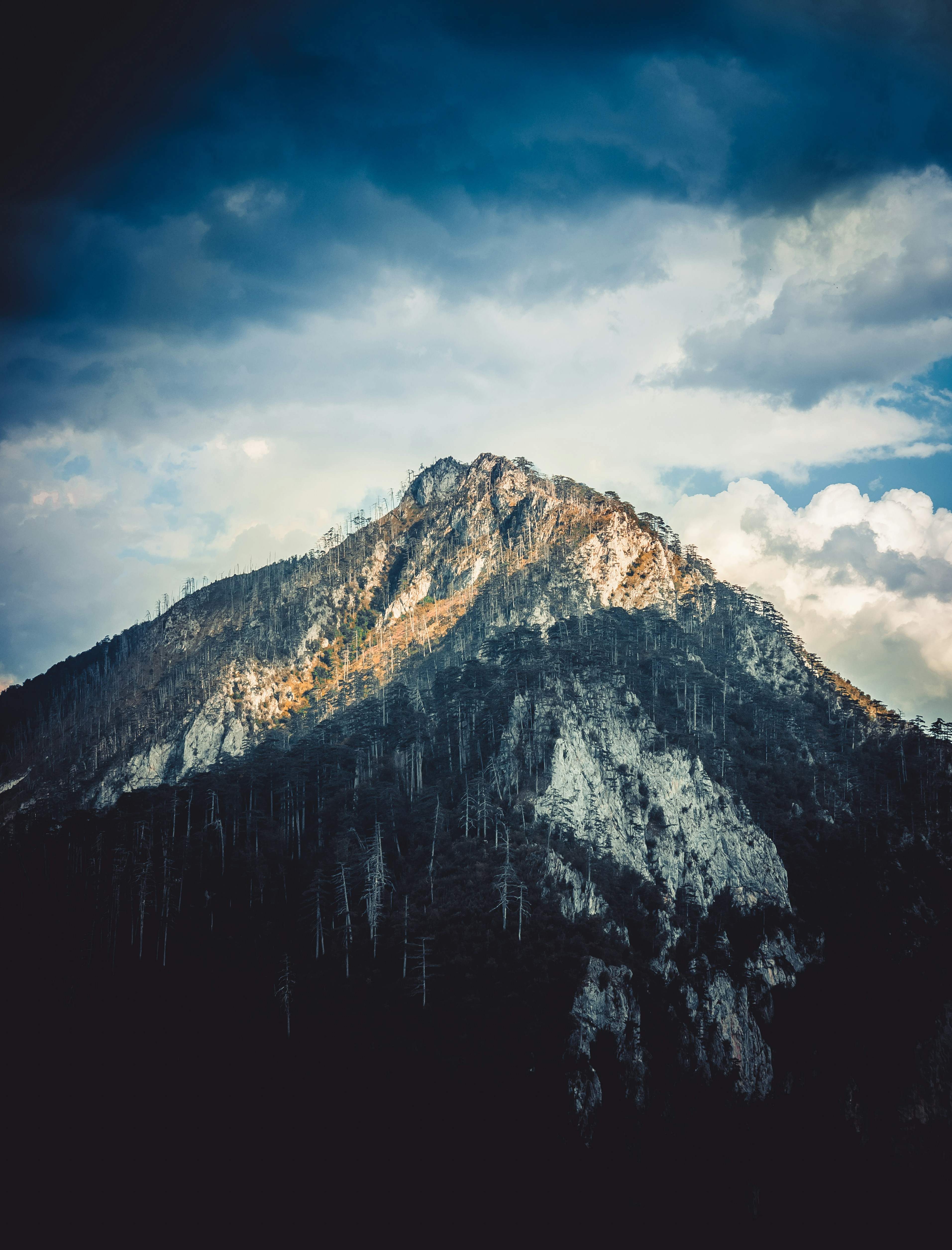 Photo by mrstupachenko