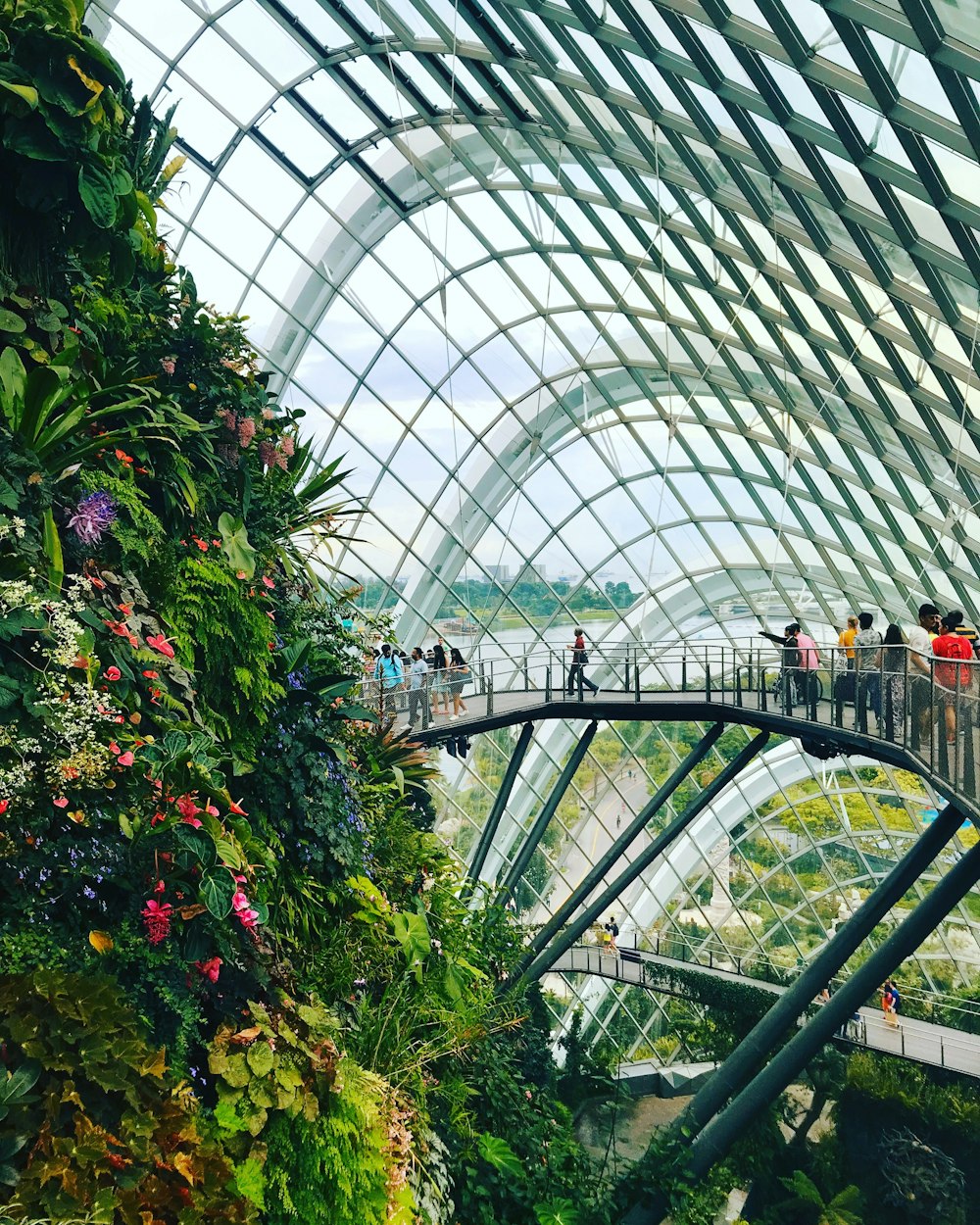 people inside glass roof building