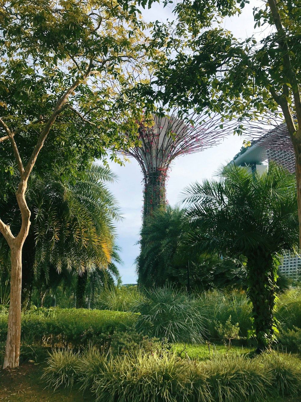 green leafy tee near grass