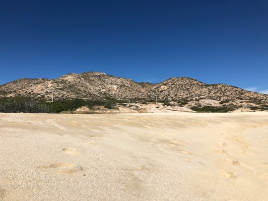 brown sand in México 1 Mexico