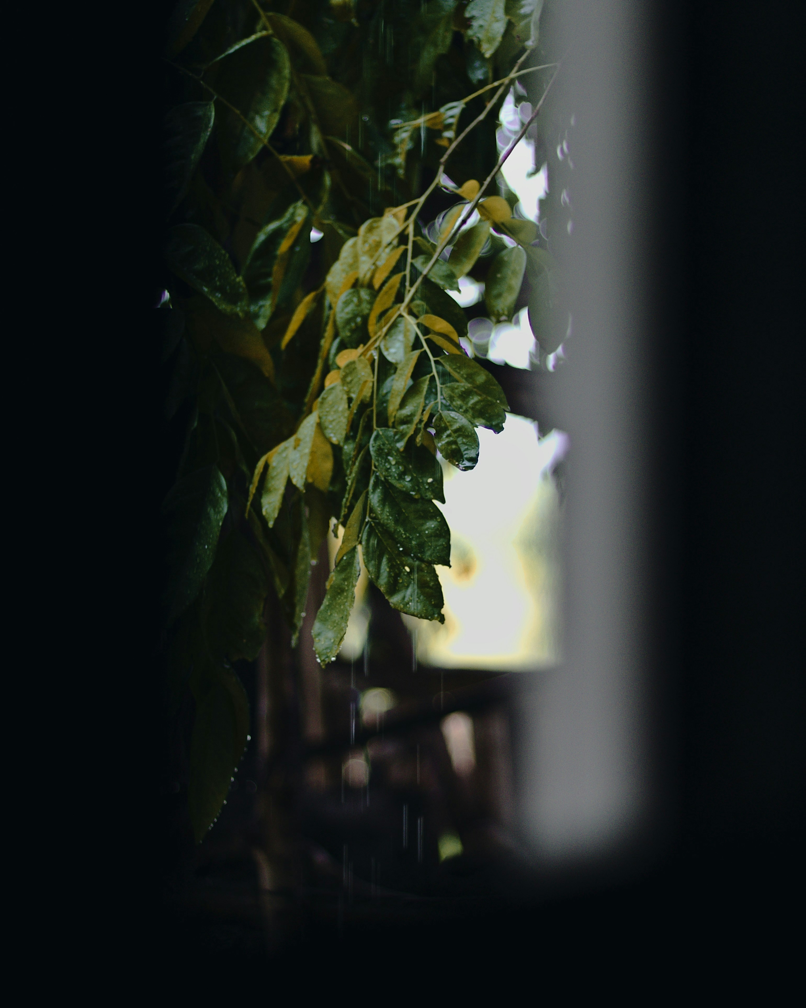 Photo by clintoinks_0522