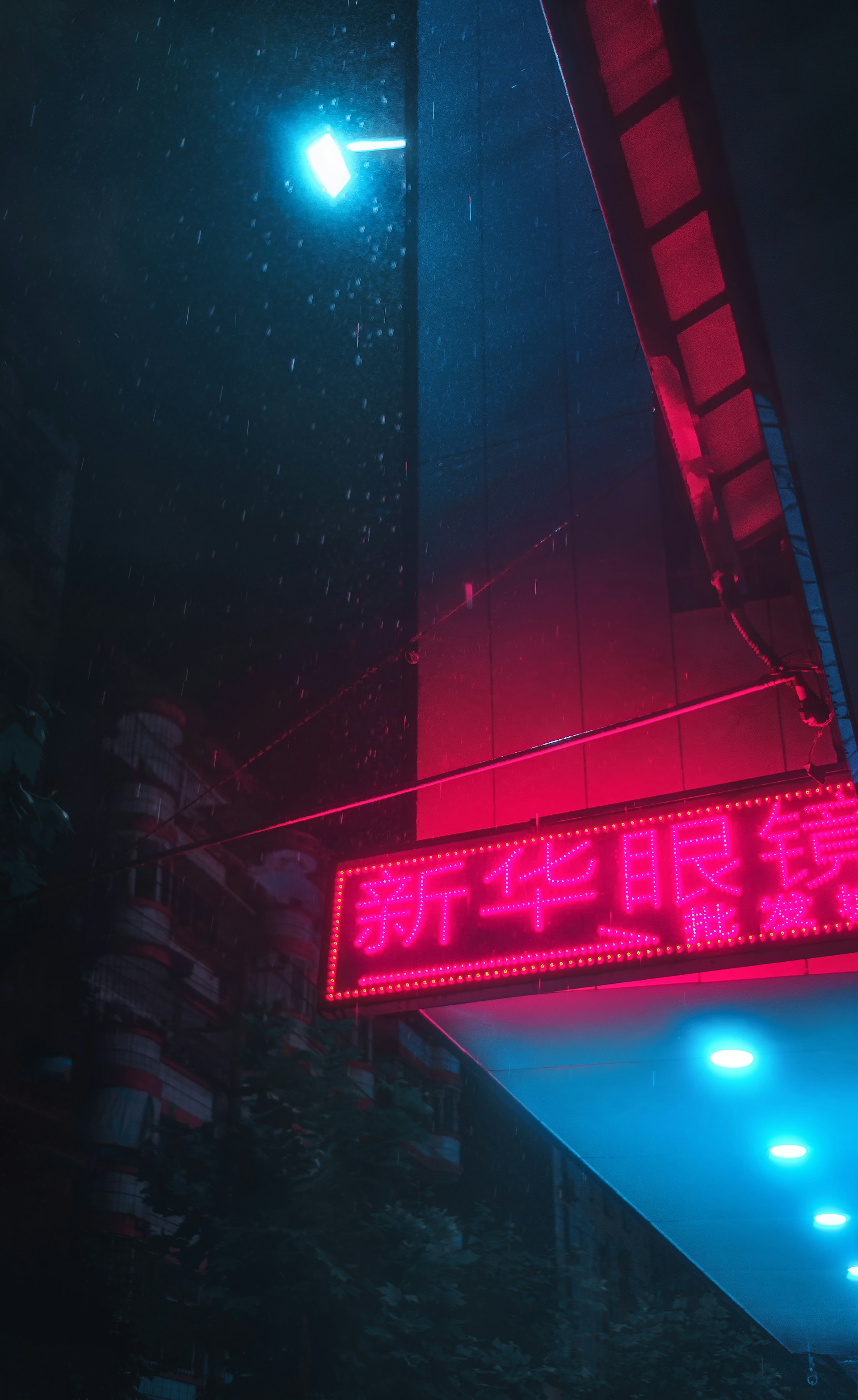 red neon light signage