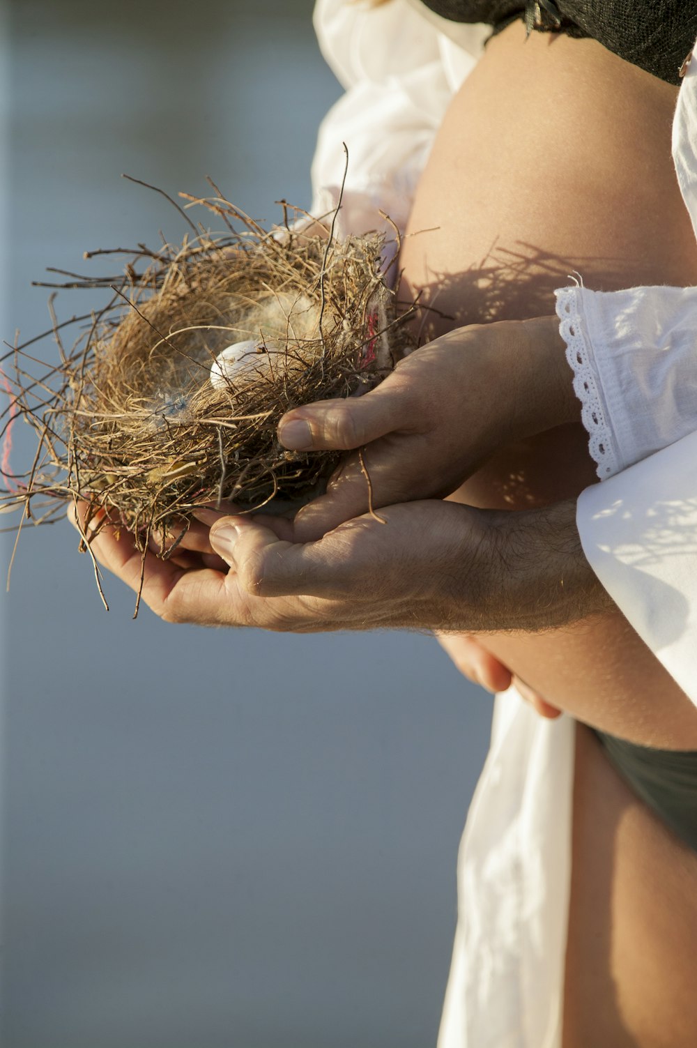 person holding bird nest