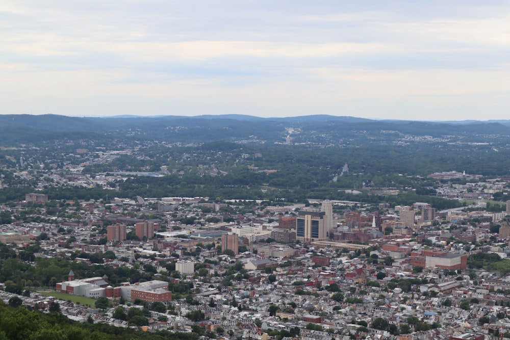 aerial photo of houses