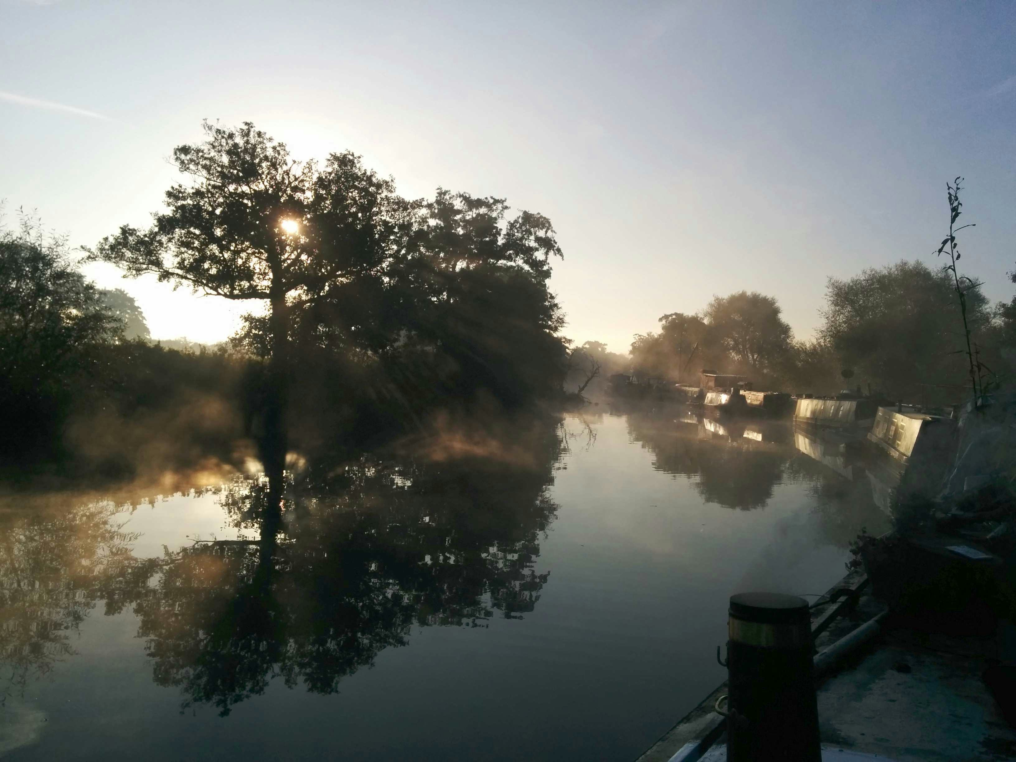 Gentle Movement Session