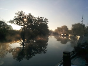 A tranquil morning scene with soft sunlight filtering through leafy trees over a calm river.