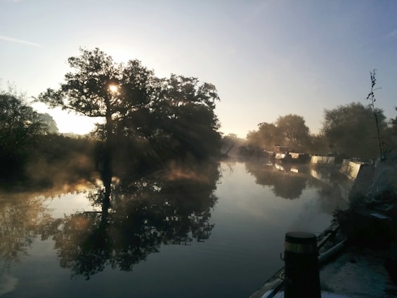 A tranquil morning scene with soft sunlight filtering through leafy trees over a calm river.