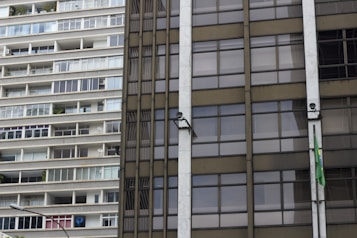 A close-up of two contrasting building facades, with the left side showing a residential apartment complex with a series of balconies and windows. The right side features an office-like glass facade with a Brazilian flag attached and security cameras mounted.