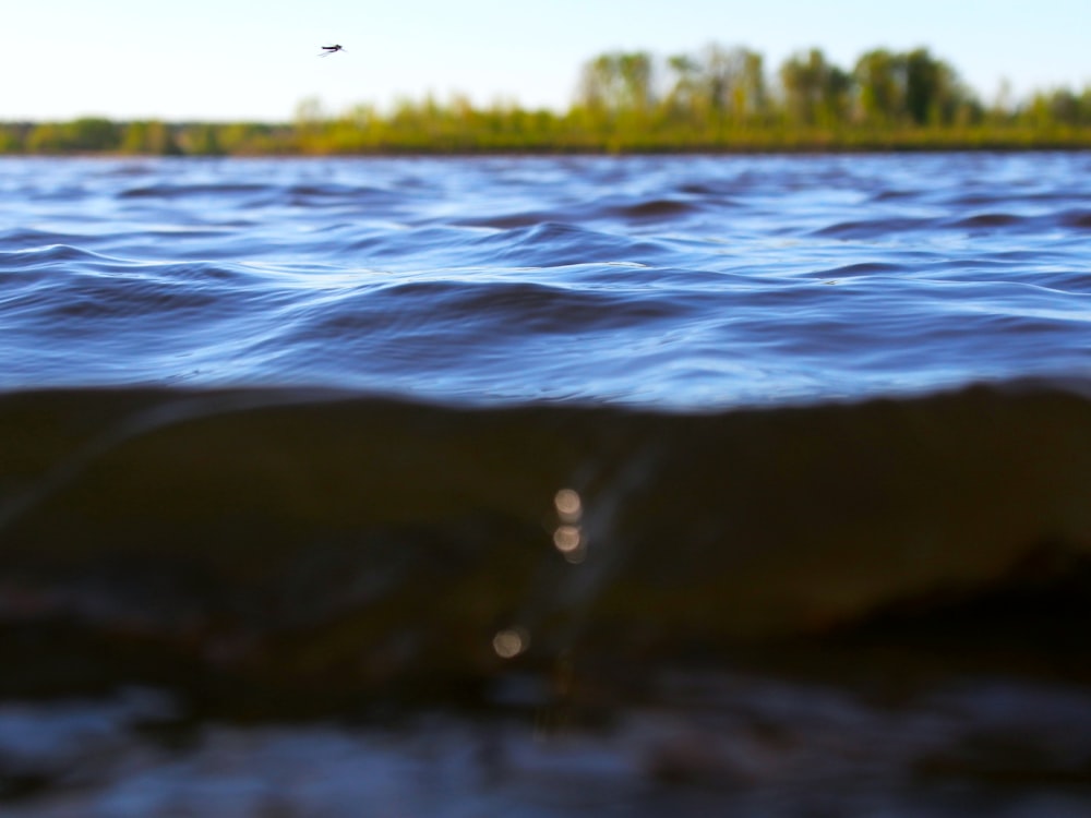 calm body of water during daytime