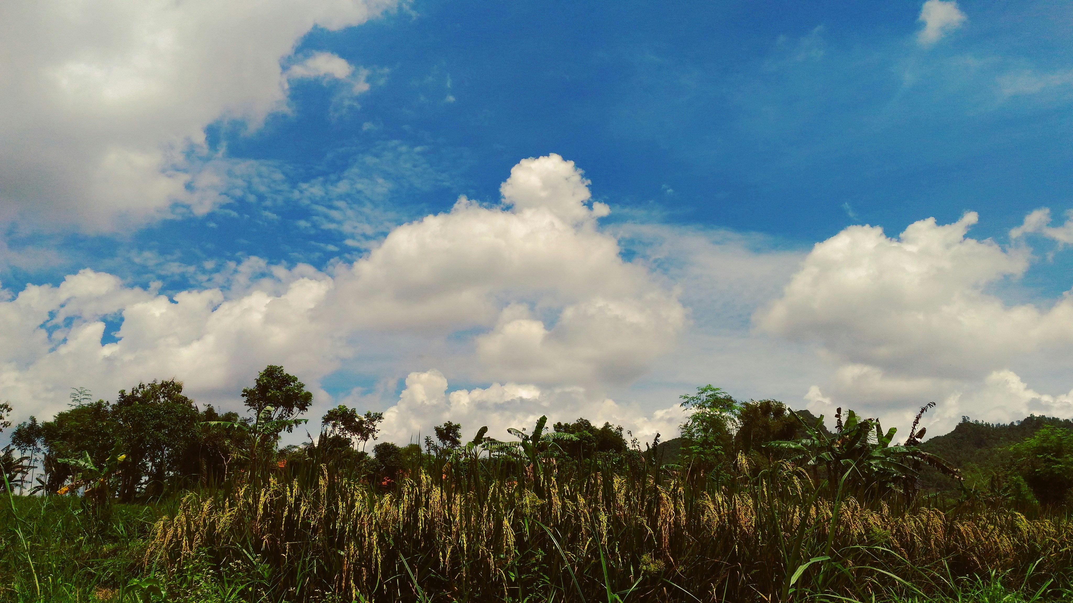 雲,天気,関係性