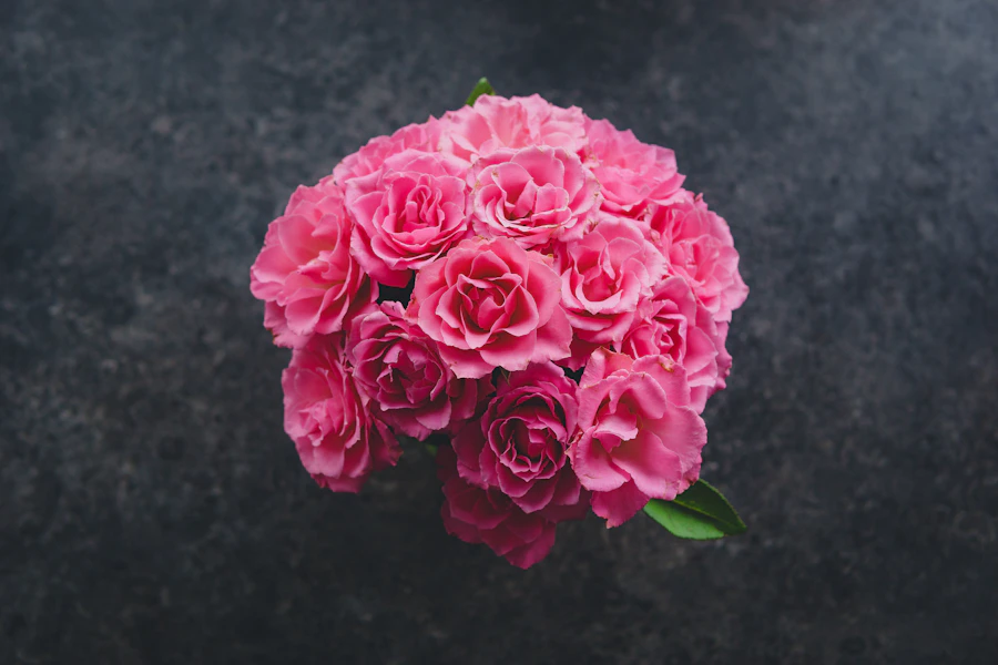 Fresh pink roses