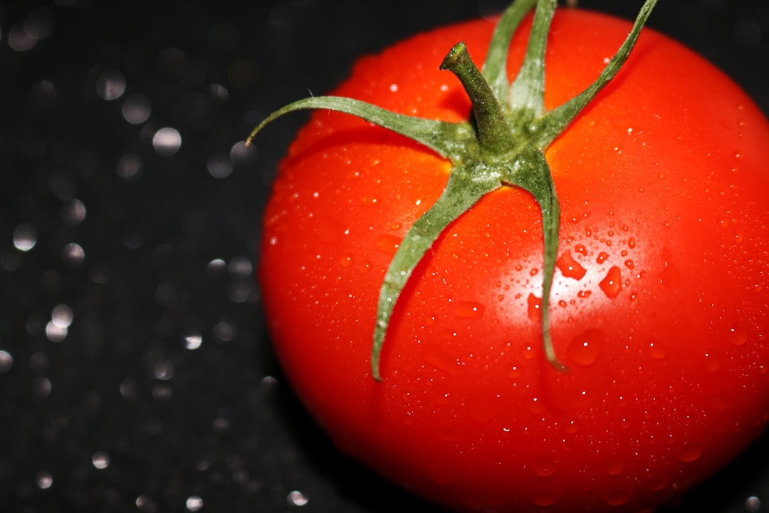 red tomato, Fresh red wet tomato on black background