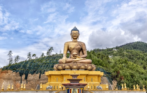 sitting Buddha statue at daytime