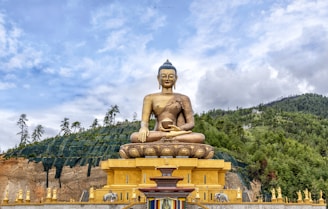 sitting Buddha statue at daytime