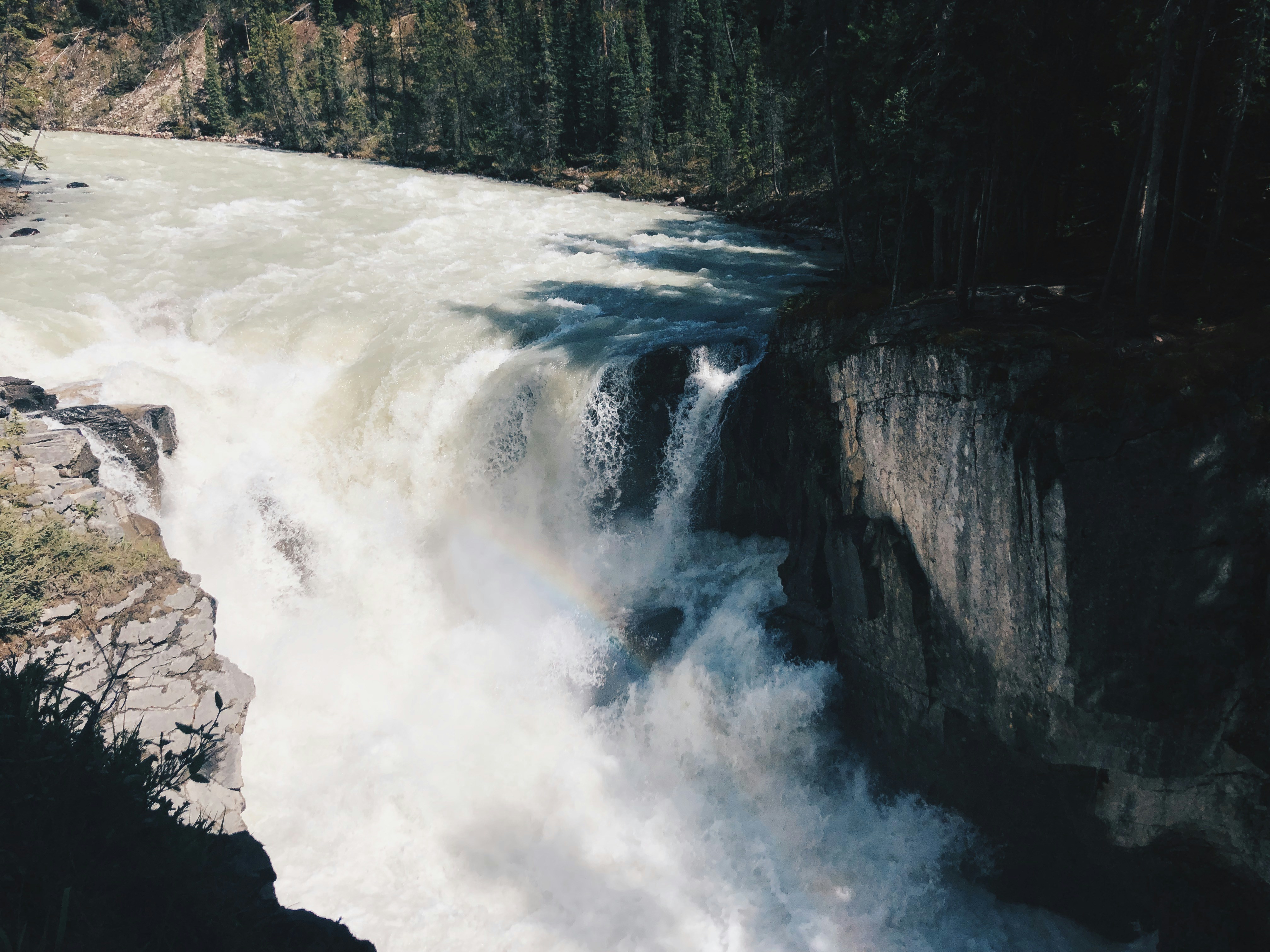 Photo by thepapertoyfactory