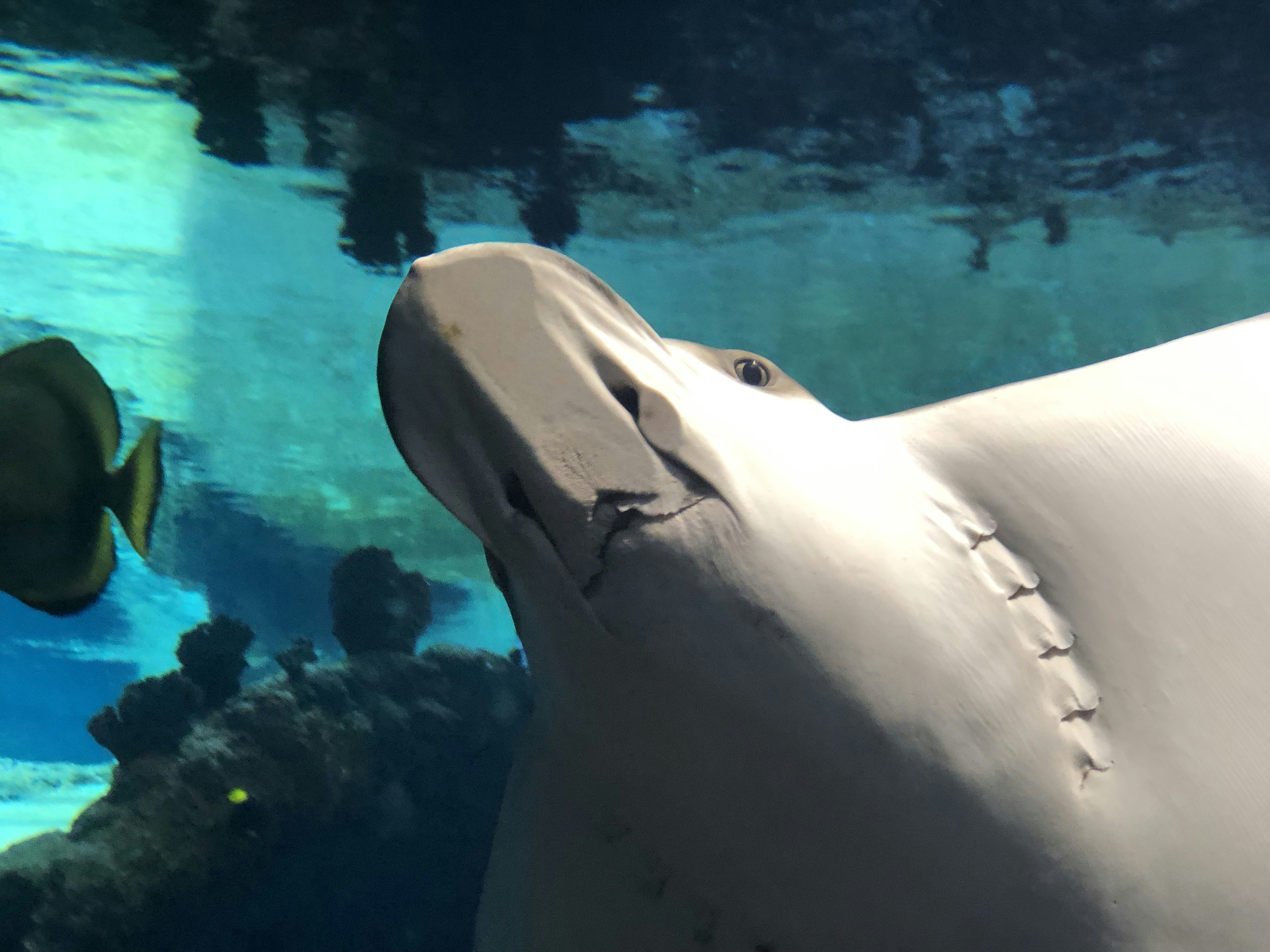 Photo by przemek_dziewa