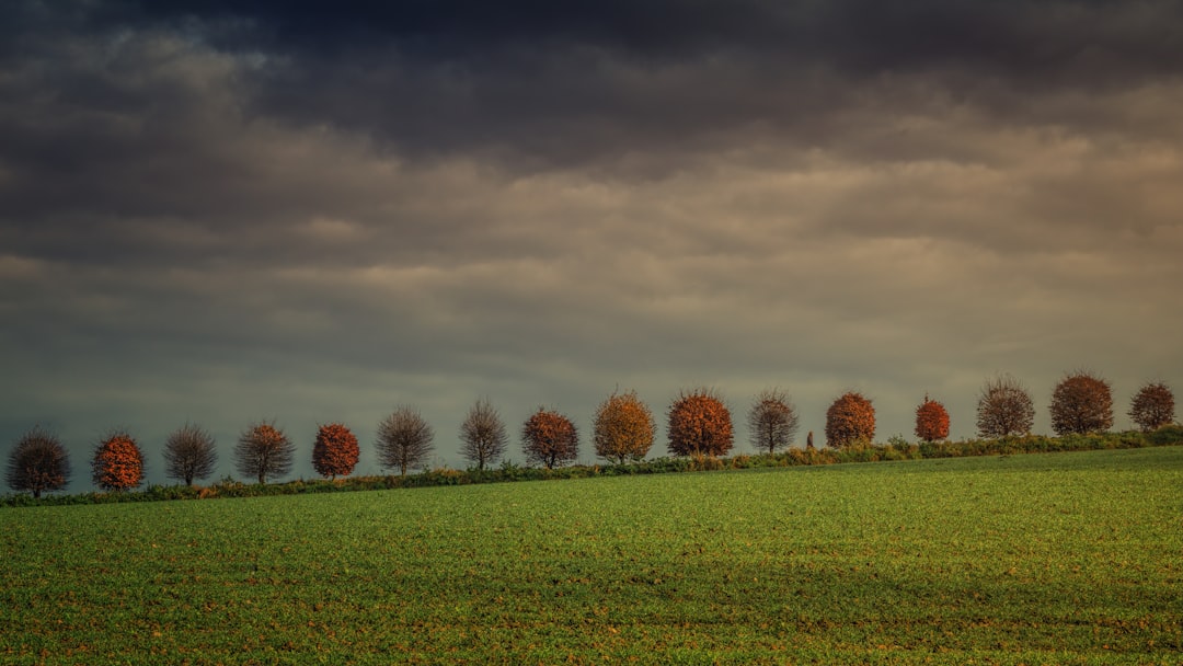 grass field under dark clouds