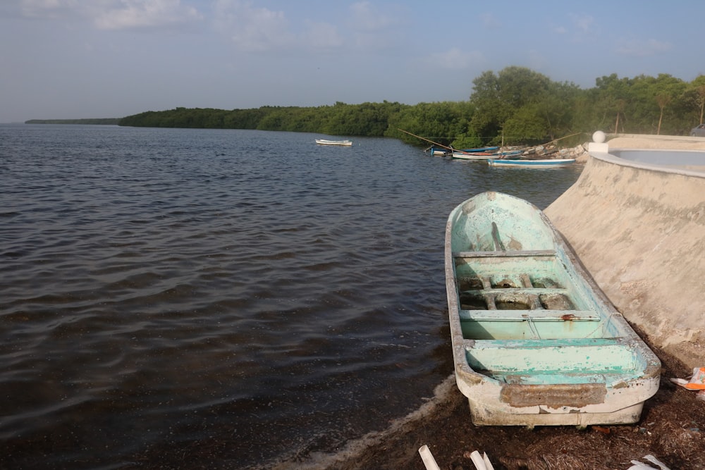 teal canoe on seashore