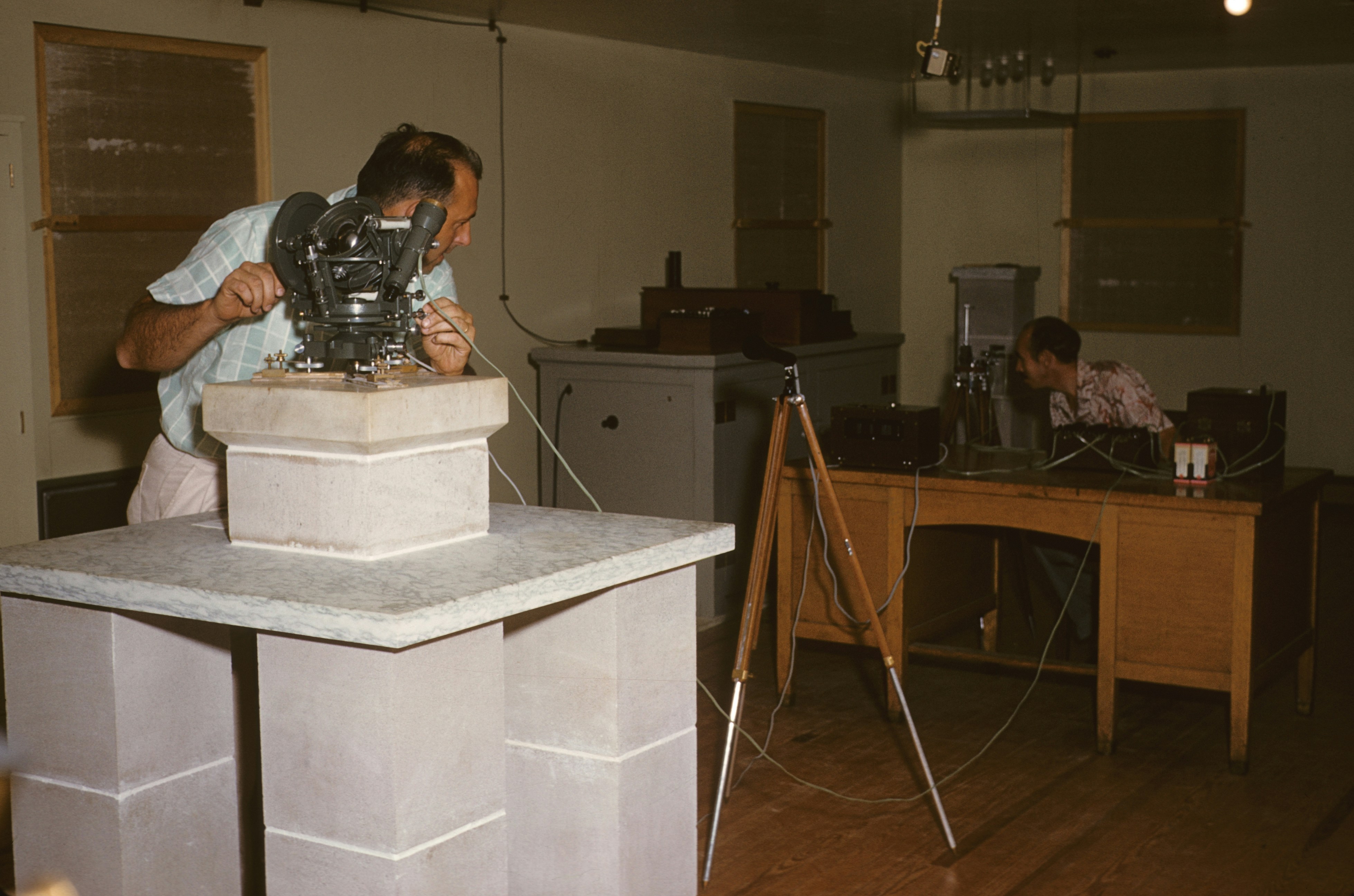 What Does Scientific Research Say About Nopals Antioxidant Properties?