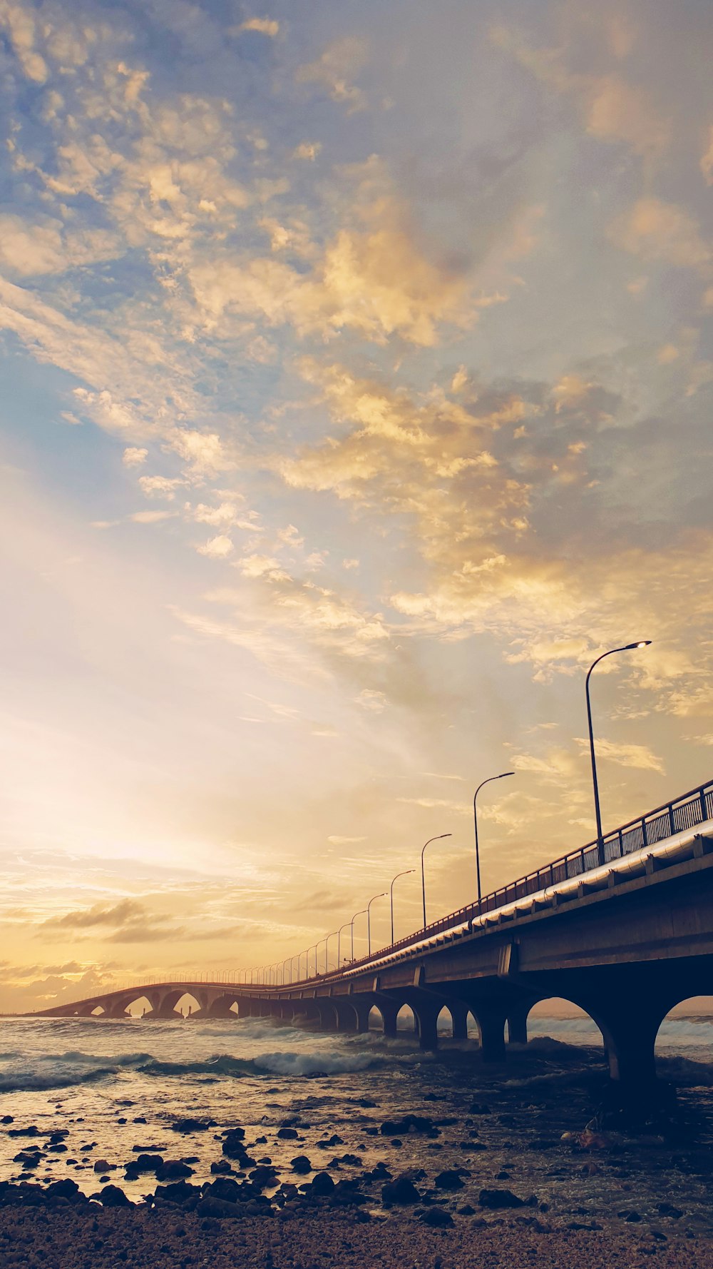 golden hour photography of bridge