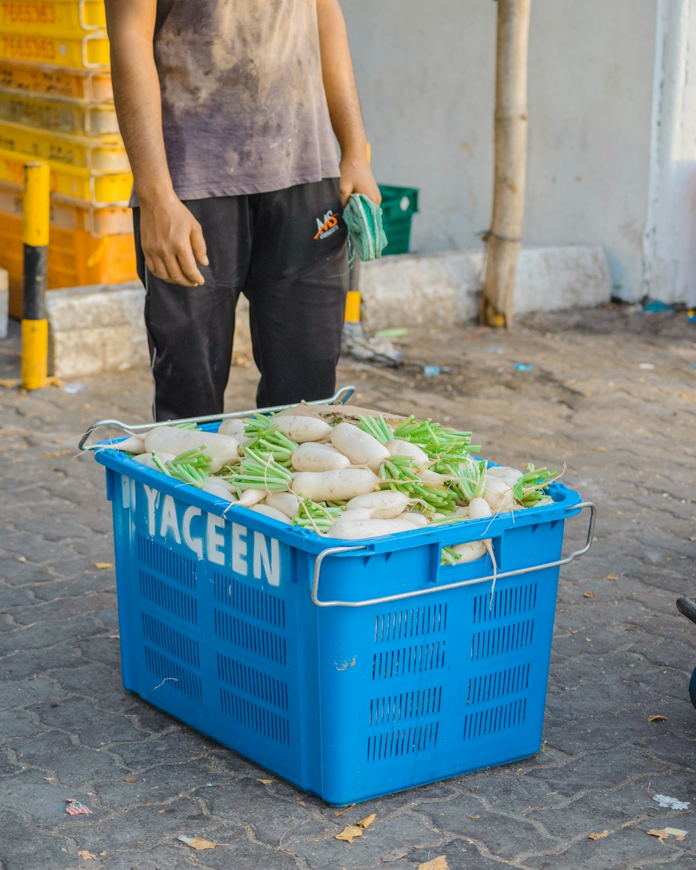 white radish in a blue plastic container