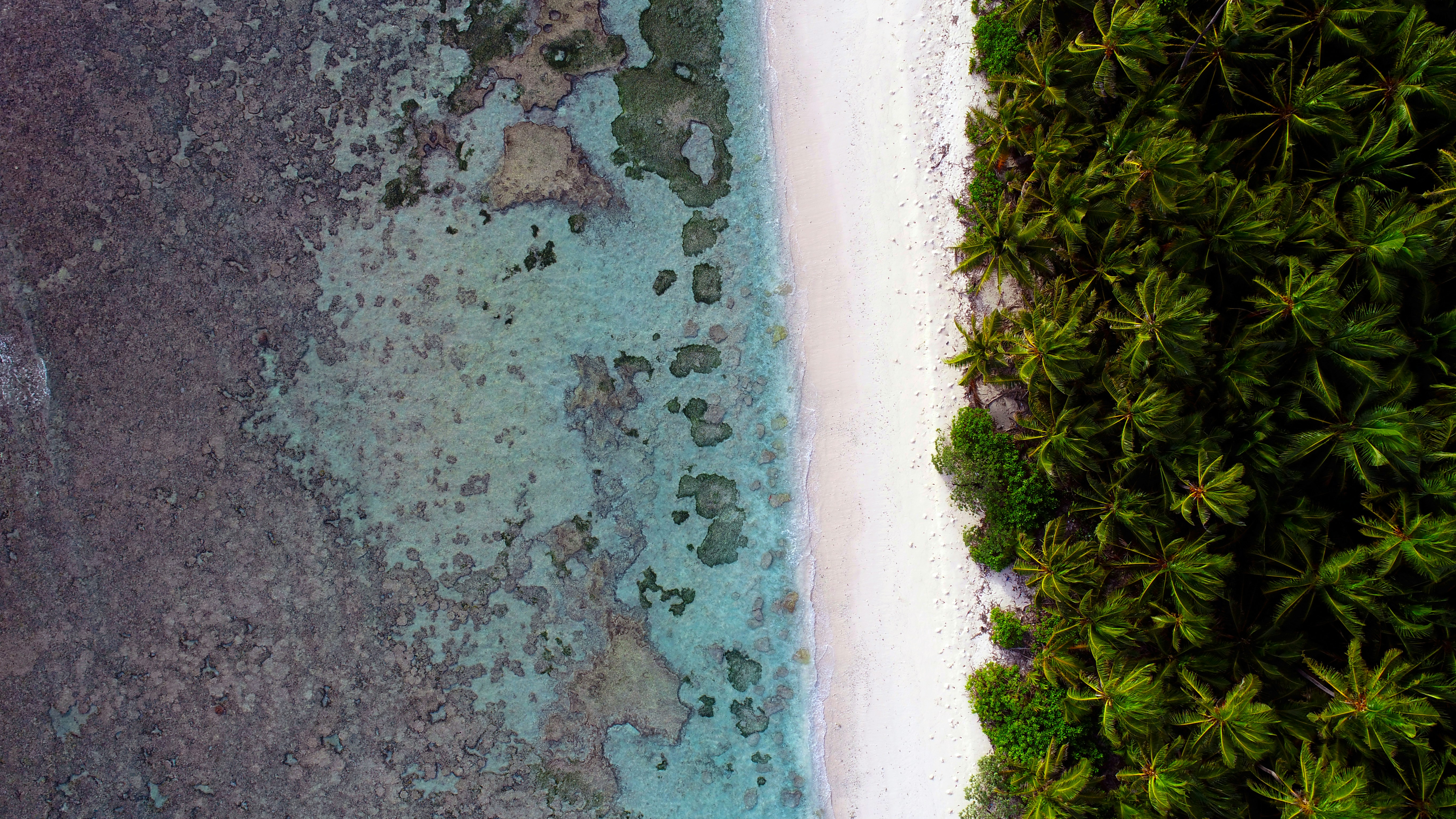 Photo by ___jiyad___