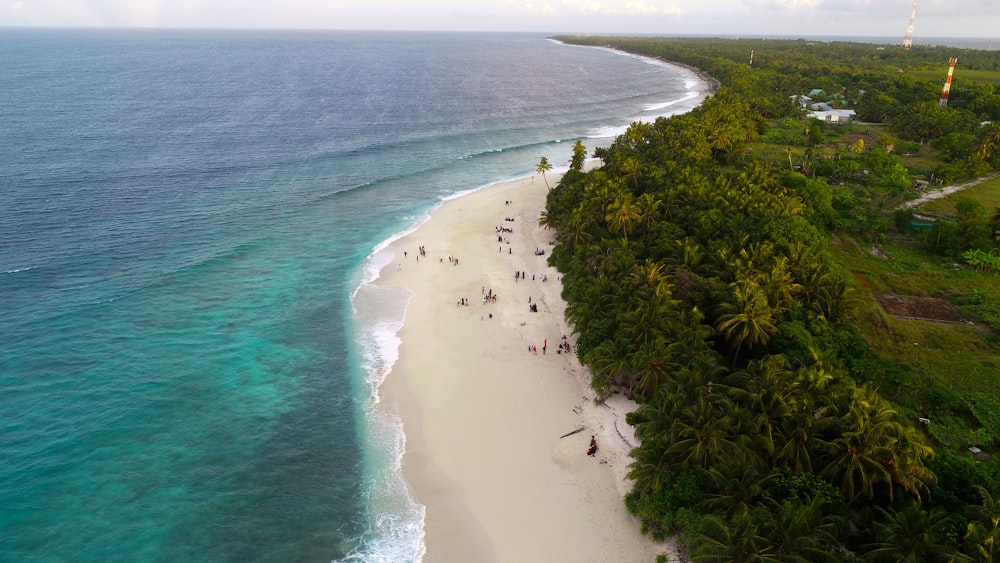 Fotografía aérea de la orilla del mar