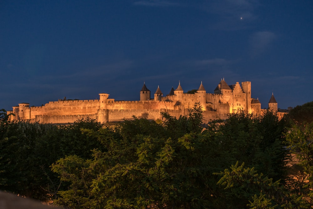 Castillo de hormigón marrón por la noche