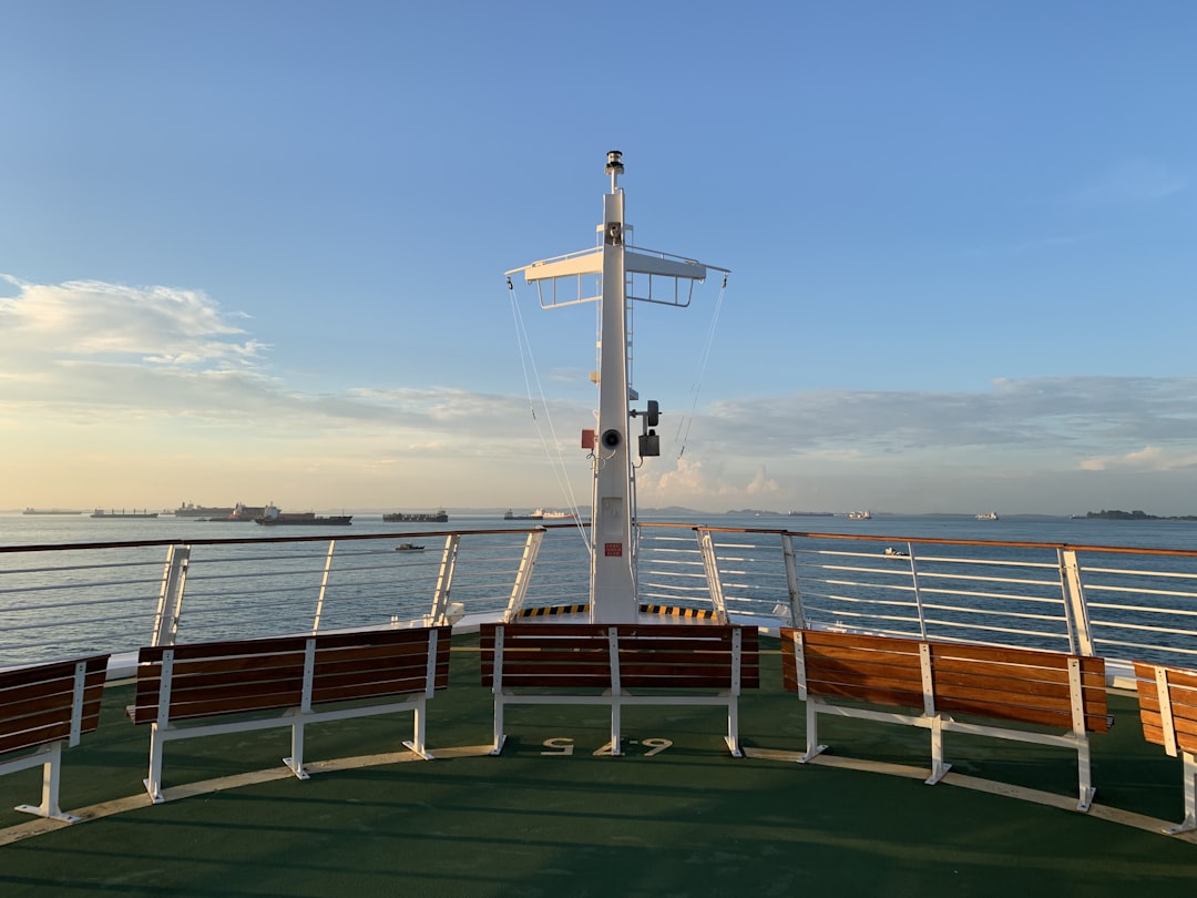 green and brown ship on sea, the cruise