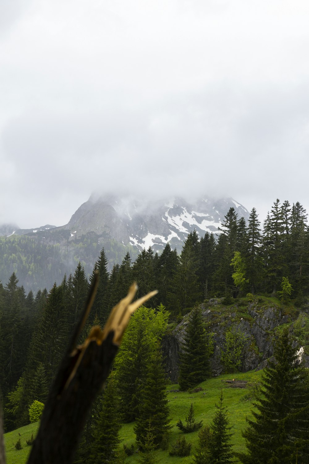 white snow covered hill slope in horizon across green verdant plains