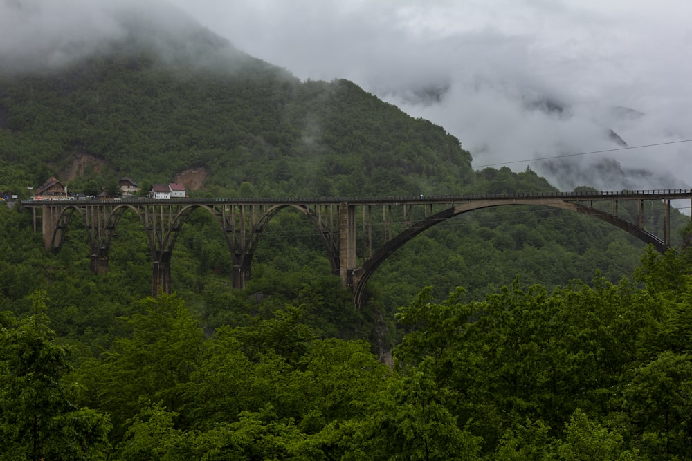 aerial photography of bridge on forest