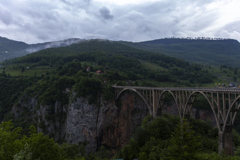 grey and brown steel bridge over gorge
