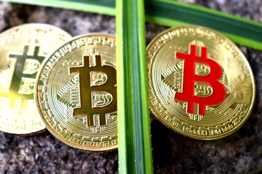 Three golden coins with the Bitcoin symbol are placed on a textured stone surface, crossed by two green plant stems.