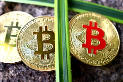 Three golden coins with the Bitcoin symbol are placed on a textured stone surface, crossed by two green plant stems.