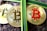 Three golden coins with the Bitcoin symbol are placed on a textured stone surface, crossed by two green plant stems.