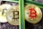 Three golden coins with the Bitcoin symbol are placed on a textured stone surface, crossed by two green plant stems.