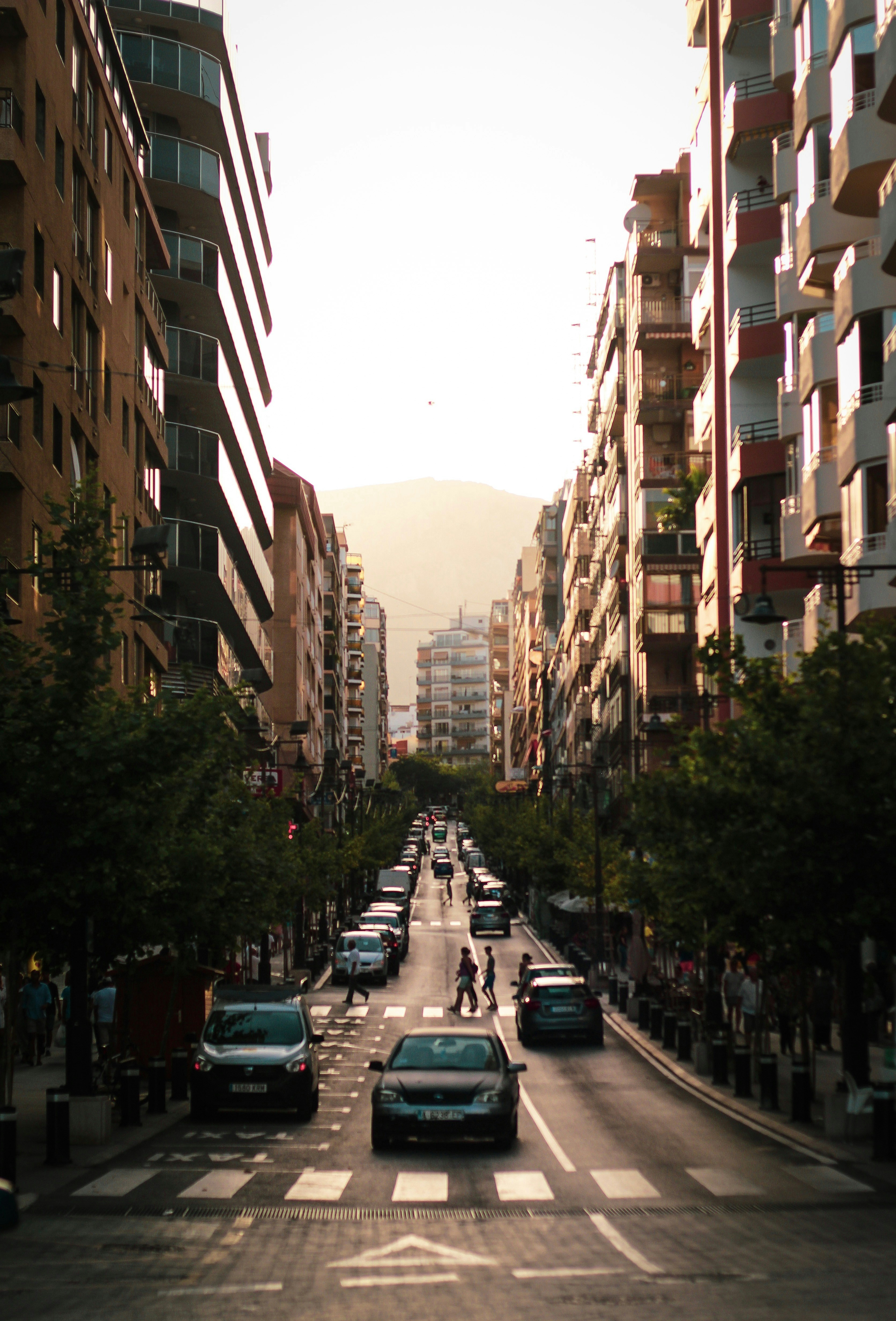 Photo by sam_williams