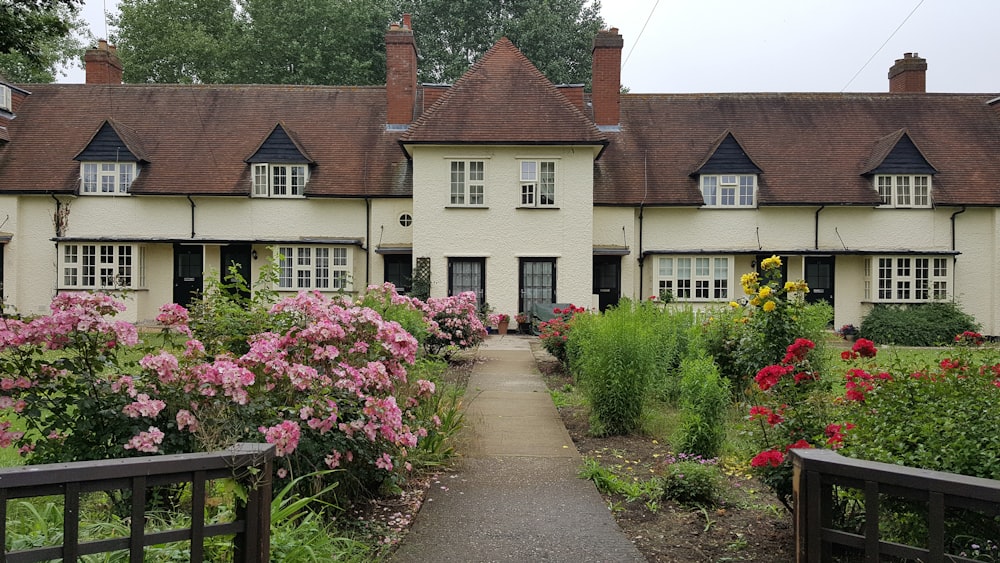 pink flowered plants blooming in garden beside pathway leading to house