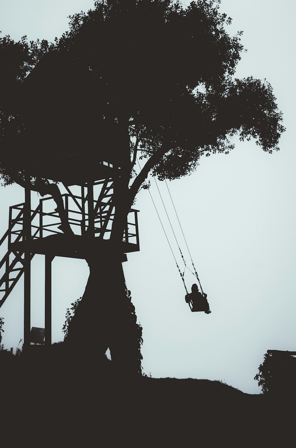 silhouette photography of person swinging under the tree