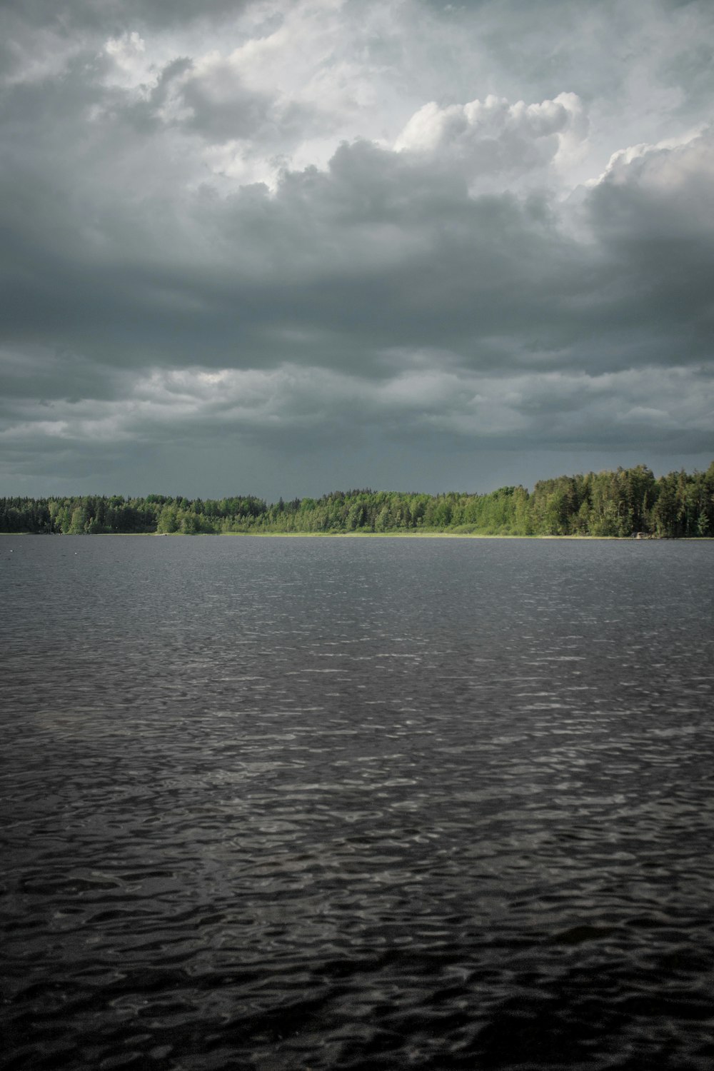 alberi a foglia verde vicino a uno specchio d'acqua