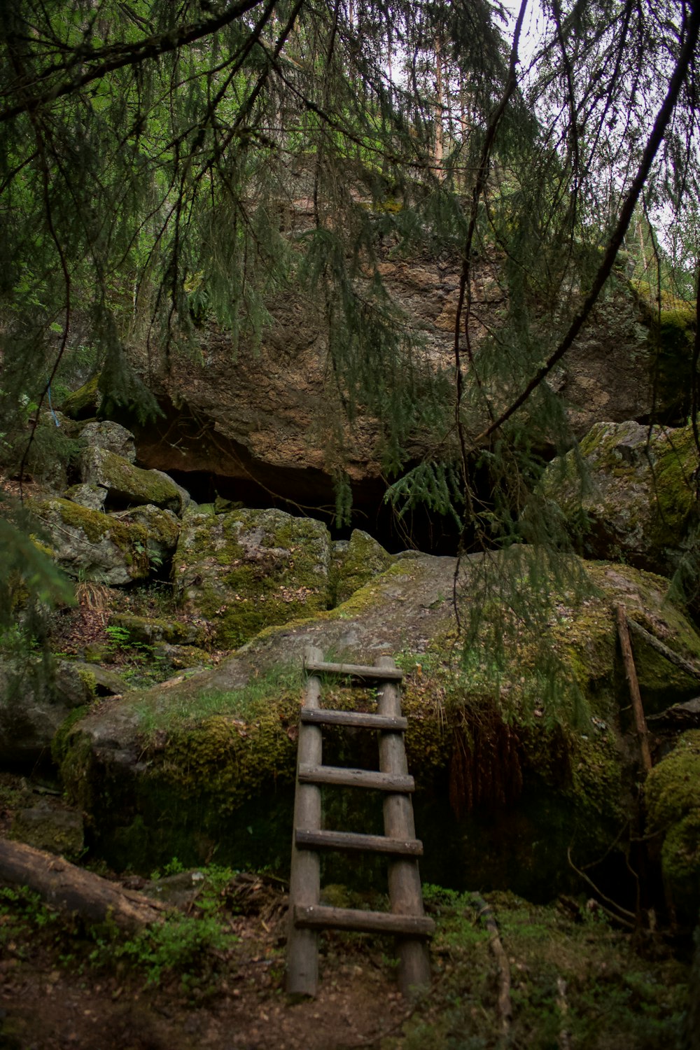 brown wooden ladder in green moss covered rocks