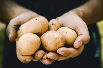 Working hands (conceptual image)