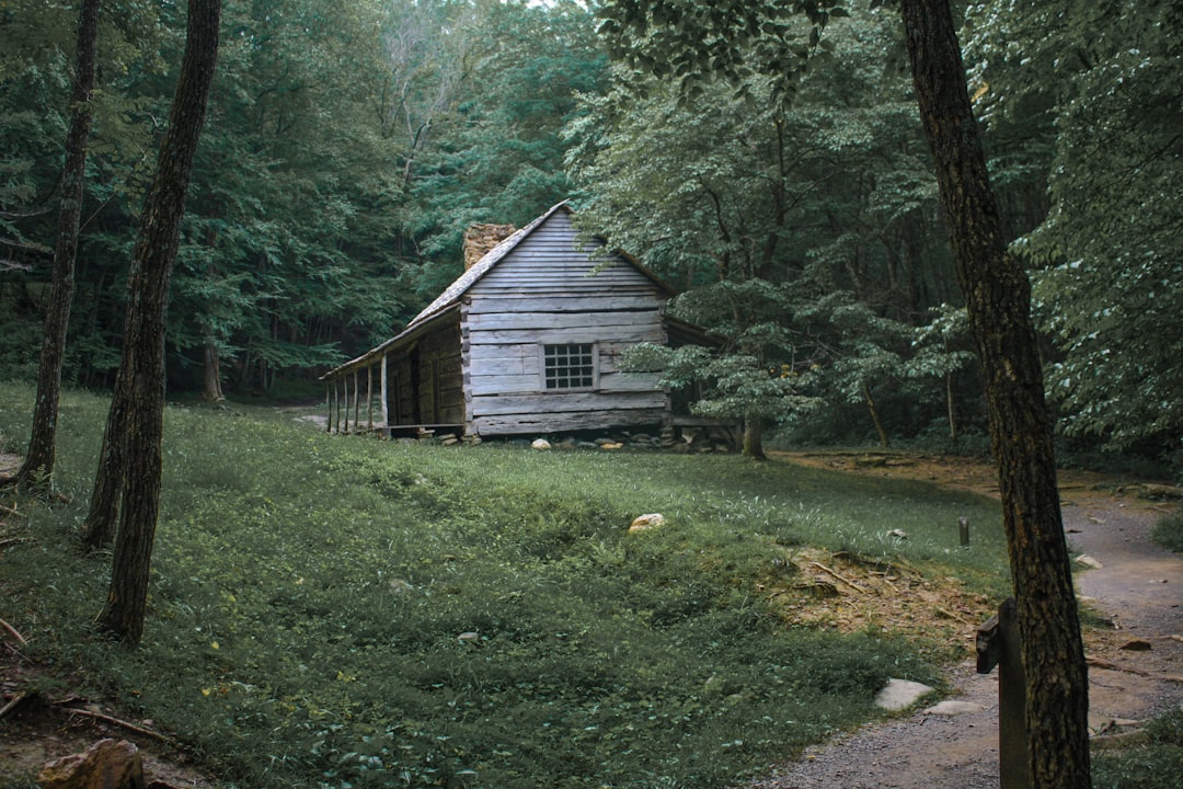 brown wooden house surrounded by trees, Old cabin located at Cades Cove in the Great Smoky Mountains.